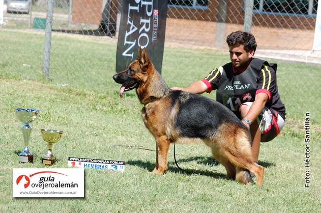 Bruma Tierra De Calden