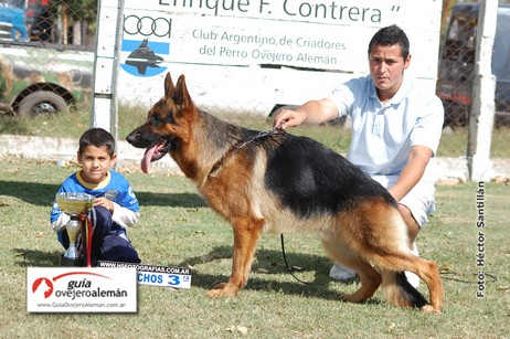 Sandor Von Der Rodney